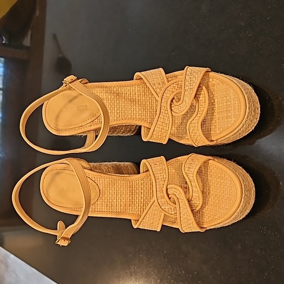 💕COACH💕 Talina Platform Raffia Espadrille Sandal ~ Neutral 10 New without Box - Picture 11 of 16